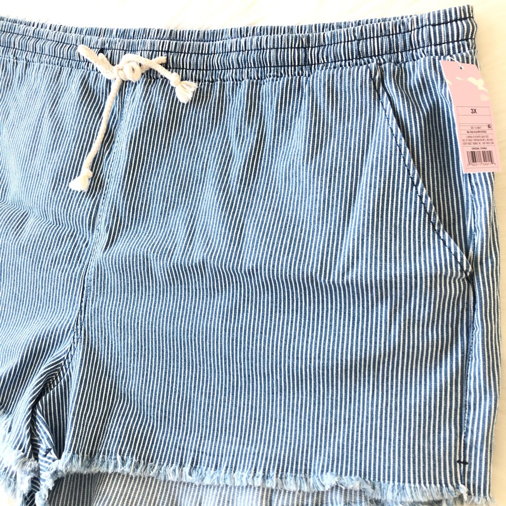 Wild Fable Blue Striped Shorts Drawstring Size 3X - Picture 4 of 5